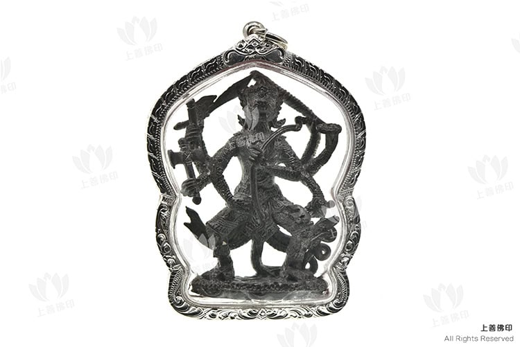 龍婆駕龍 - 2552 八手哈奴曼