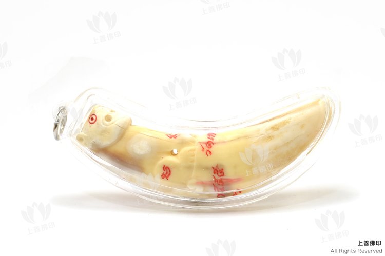 龍婆篇 - 2552 動物牙虎王