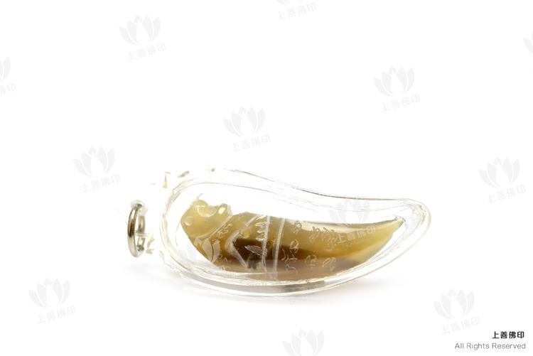 龍婆醒 - 2560 水牛角虎王