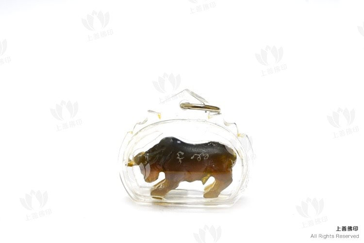 龍婆醒 - 2560 雷劈水牛角 牛