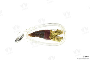龍婆Waen介/龍婆灣該 招財蛇爪