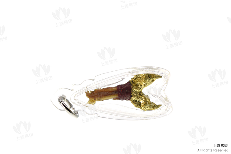 龍婆灣該 招財蛇爪