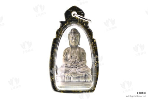 屈膠戰化 - 2558法會 佛陀小立尊, 正面圖