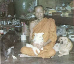 龍婆Yod