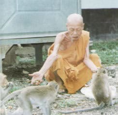 龍婆Yod