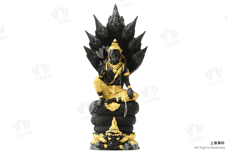 龍耐 - 2550 澤度金