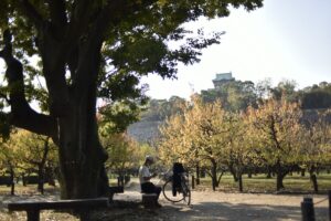 《缺席的告別》