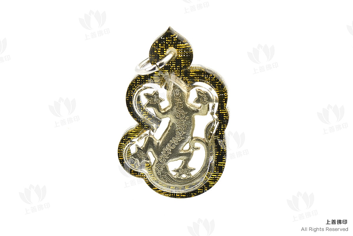龍婆蓋 - 2557 雙尾精族(兩尾壁虎), 背面圖