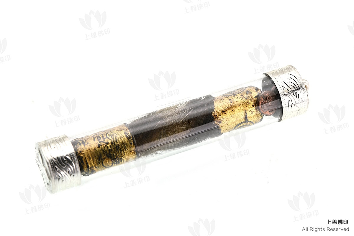 龍婆駕龍 - 2550 猛獸皮毛虎嘯符管, 正面圖