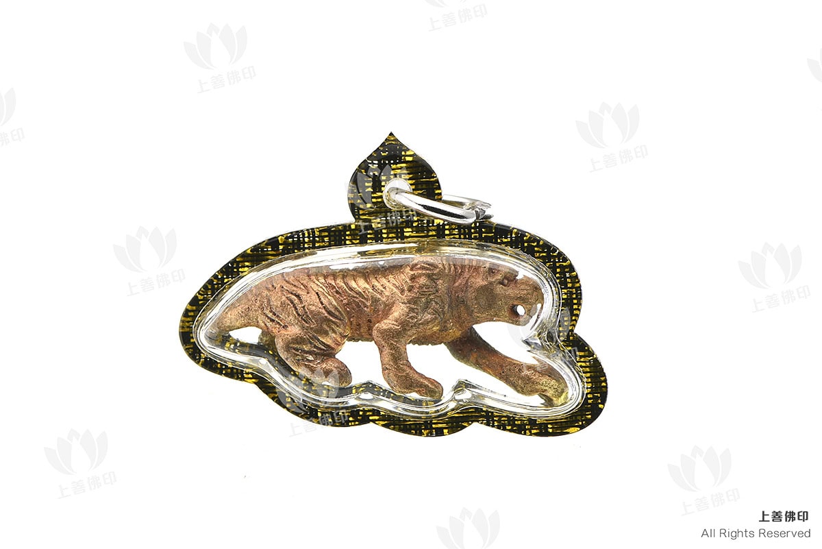 龍婆察 - 2556 虎王之王, 正面圖